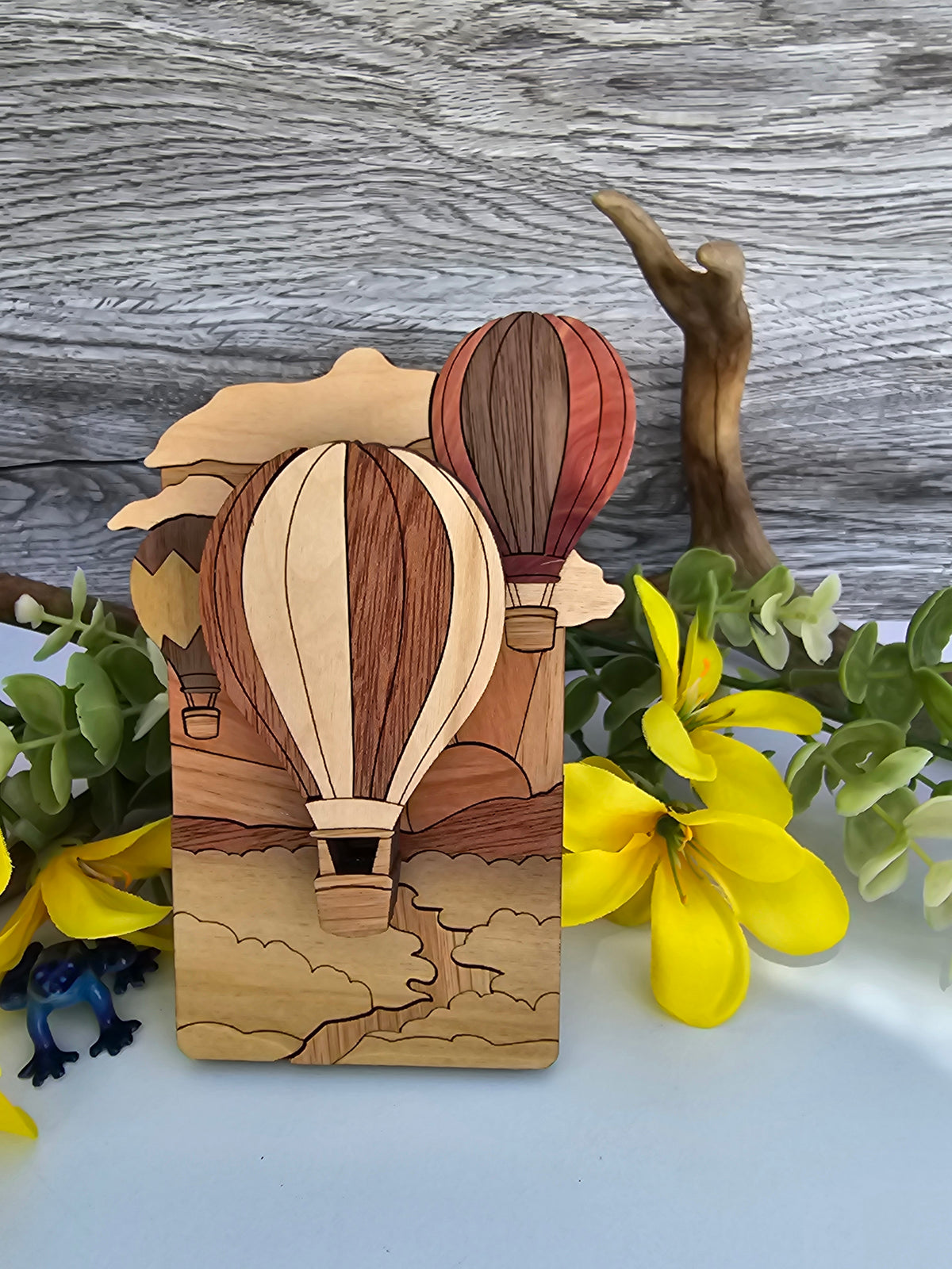 Hot Air Balloon