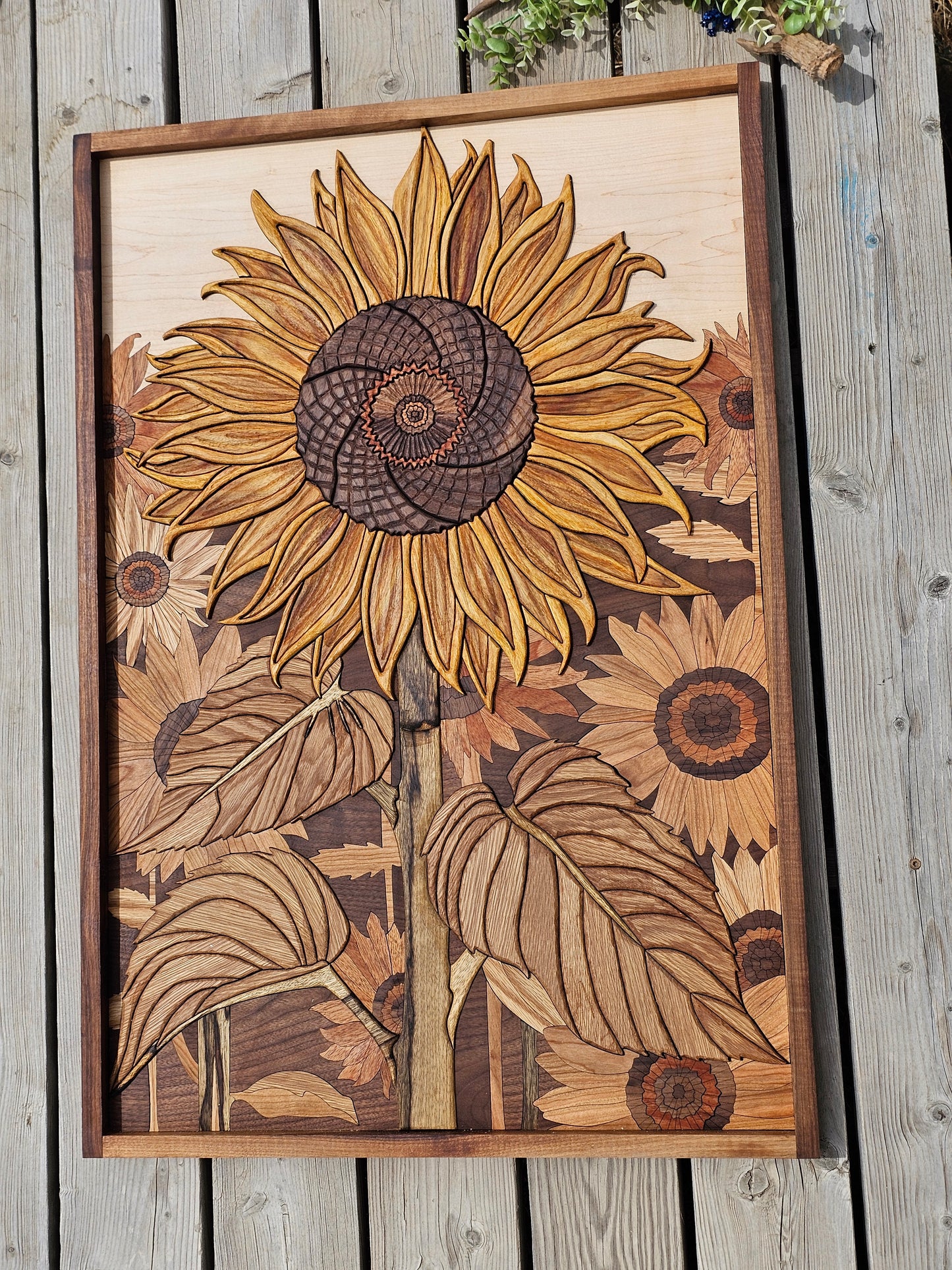 Sunflower Show Stopper
